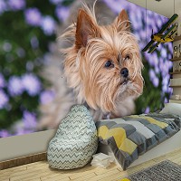 Флизелиновые фотообои 254x184 см Собака (11381V4)+клей - вид 7 миниатюра