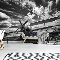 Флизелиновые фотообои 3д 460x300 см Черно-белый самолет на фоне облаков (11384V12) +клей