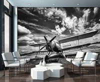 3д флизелиновые фотообои 312x219 см Черно-белый самолет на фоне облаков (11384VEXXL) +клей