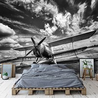 3д флизелиновые фотообои 416x290 см Черно-белый самолет на фоне облаков (11384VEXXXXL) +клей