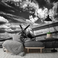 3д флизелиновые фотообои 520x318 см Черно-белый самолет на фоне облаков (11384VEXXXXXL) +клей