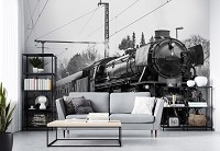 Флизелиновые фотообои 3д поезд 460x300 см Черно-белый паровоз в пути (11385V12) +клей