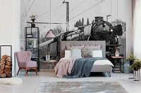 Флизелиновые фотообои 3д поезд 368x254 см Черно-белый паровоз в пути (11385V8) +клей