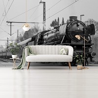 Флизелиновые фотообои 3д поезд 312x219 см Черно-белый паровоз в пути (11385VEXXL) +клей