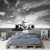 Флизелиновые фотообои облака в интерьере 312x219 см Черно-белый самолет готовиться ко взлету (11386VEXXL) +клей