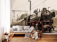 Флизелиновые 3Д фото обои 254x184 см Паровоз (11388V4)+клей