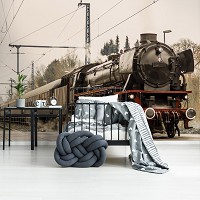 Флизелиновые фотообои 3д поезд 312x219 см Черный паровоз в пути (11388VEXXL) +клей