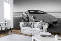 Флизелиновые 3д фотообои машины 368x254 см Черно-белая Ламборджини (11393V8) +клей