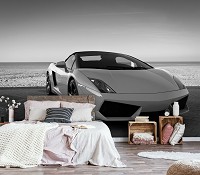 Флизелиновые 3д фотообои машины 312x219 см Черно-белая Ламборджини (11393VEXXL) +клей