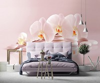 Флизелиновые 3д фотообои 368x280 см Нежный цветок орхидеи на камушках (11406V10) +клей