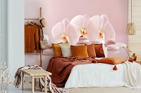 Флизелиновые 3д фотообои 368x254 см Нежный цветок орхидеи на камушках (11406V8) +клей