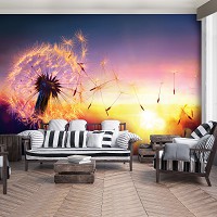 Флизелиновые 3д фото обои 312x219 см Одуванчик (11416VEXXL)+клей