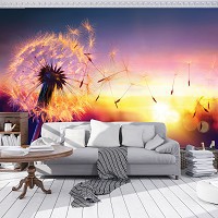 Флизелиновые фото обои 3Д 416x254 см Одуванчик (11416VEXXXL)+клей