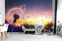 Флизелиновые 3Д фотообои цветы 254x184 см Одуванчик (11416V4)+клей