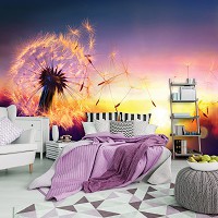 Фотообои флизелиновые 3D цветы 368x254 см Солнечные лучи и одуванчик (11416V8)+клей