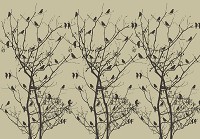 Флизелиновые фотообои на стену 416x290 см Птицы на черных деревьях на коричневом фоне (11466VEXXXXL) +клей - вид 1 миниатюра
