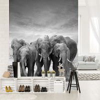 Флизелиновые фотообои природа 206x275 см Слоны (11578VEA)+клей