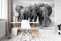 Флизелиновые фото обои красивая природа 368x254 см Слоны (11578V8)+клей