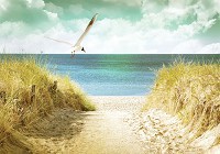 Флізелінові фото шпалери літо море 3D 254x184 см пляж (11595V4)+клей - вид 1 мініатюра