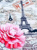 Флизелиновые фото обои город Париж 206x275 см Эйфелева башня (11618VEA)+клей - вид 1 миниатюра