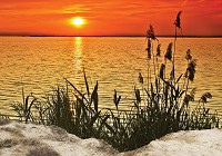 Флізелінові фото шпалери з морською тематикою 312x219 см Захід сонця (11621VEXXL)+клей - вид 1 мініатюра