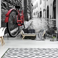Флизелиновые 3д фотообои на стену с рисунком города 416x254 см Красный велосипед на узкой улочке (11675VEXXXL) +клей