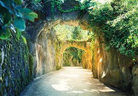 Флізелінові 3Д фотошпалери на стіну 416x254 см Алея (11679VEXXXL)+клей - вид 1 мініатюра