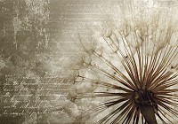 Фотошпалери 3д квіти 254x184 см Арт кульбаба (11683P4)+клей - вид 1 мініатюра