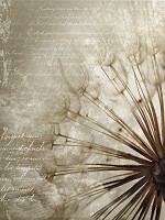 Флизелиновые 3д фото обои цветы 184x254 см Одуванчик (11683V4A)+клей - вид 1 миниатюра