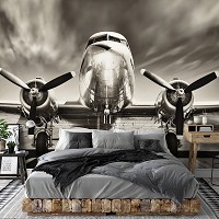 Авиация 3д флизелиновые фотообои 368x280 см Черно-белый самолет вблизи (11728V10) +клей