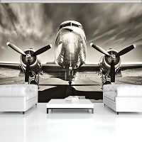 Флизелиновые 3d фото обои облака 368x254 см Черно-белый самолет (11728V8)+клей