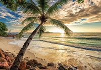 Флизелиновые 3d фото обои море 254 x 184 см Пляж под ногами (11732V4)+клей - вид 1 миниатюра