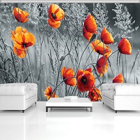 Флизелиновые фотообои цветы 368x280 см Серое поле и красные маки (11746V10)+клей