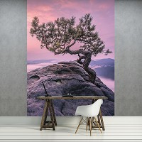 Флизелиновые 3d фотообои с природой 206x275 см Дерево на скале (11749VEA)+клей - вид 5 миниатюра