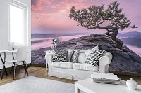 Красивые флизелиновые фотообои с природой 3д пейзаж 312x219 см Дерево на скале на закате (11749VEXXL) +клей