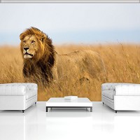 Флизелиновые фотообои 3д природа 312x219 см Лев (11750VEXXL)+клей