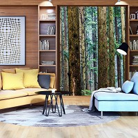 Флизелиновые фотообои с природой 206x275 см лес (11751VEA)+клей