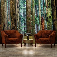 Флизелиновые фото обои деревья 368x254 см лес (11751V8)+клей