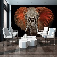 Флизелиновые 3D фотообои природа 368x254 см Слон с красными ушами (11752V8)+клей