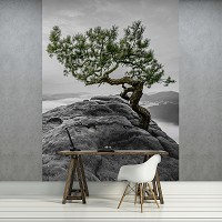 Флизелиновые 3D фото обои с камнями 184x254 см Дерево на скале (11759V4A)+клей