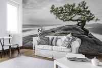 Флизелиновые 3D фото обои для стен 312x219 см Дерево на скале (11759VEXXL)+клей