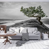 Флизелиновые 3D фото обои природа 254x184 см Дерево на скале (11759V4)+клей