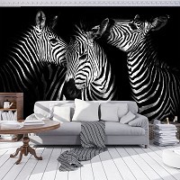 Флизелиновые фотообои природа Зебра (11761V)+клей