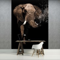 Флизелиновые 3D фото обои дикие животные 206x275 см Слон (11762VEA)+клей