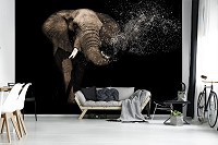 Флизелиновые фото обои 3D животные 368x254 см Слон (11762V8)+клей