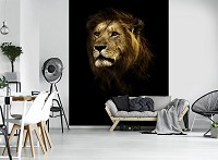Флизелиновые фото обои с котятами 206x275 см Лев (11766VEA)+клей