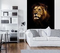 Флизелиновые фото обои кот 184x254 см Лев (11766V4A)+клей - вид 6 миниатюра