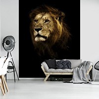 Флизелиновые фото обои кот 184x254 см Лев (11766V4A)+клей