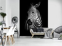Флизелиновые фото обои черно-белые животные 184x254 см Зебра (11767V4A)+клей