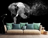 Флизелиновые фото обои дикие животные 254x184 см Слон (11769V4)+клей